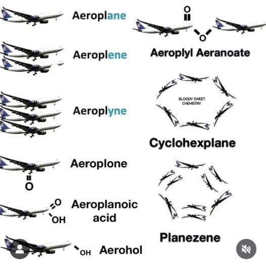 Organic Chemistry Takes Flight