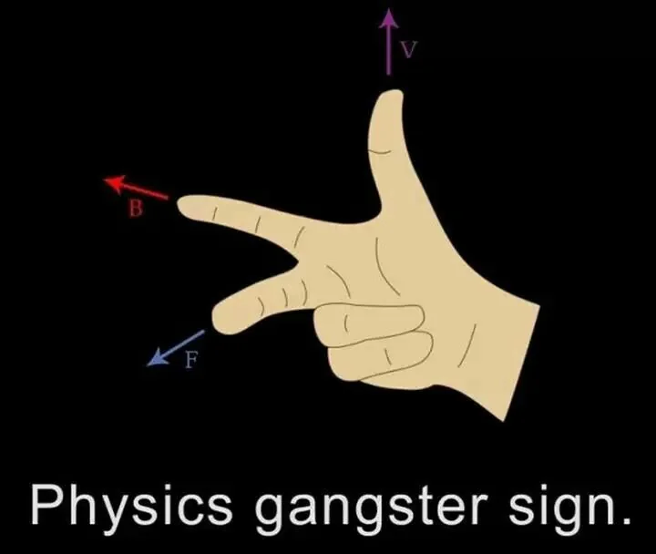 Physics Gangster Sign