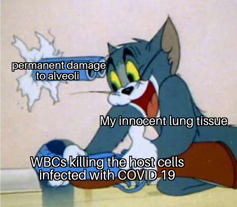 Your Immune System's Scorched Earth Policy