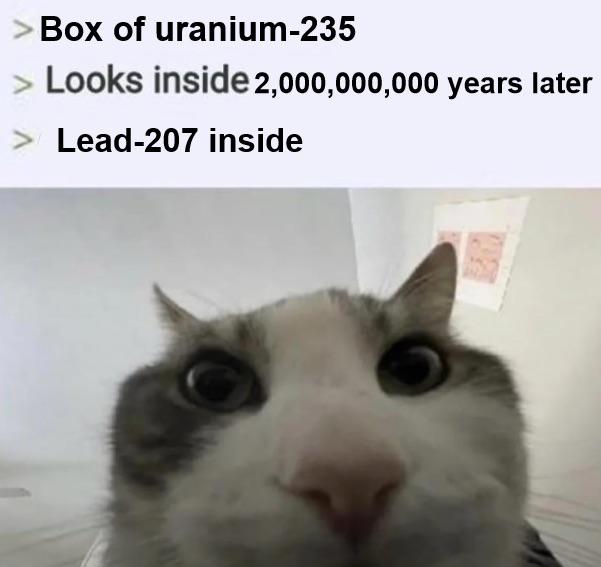 The Cat Who Discovered Nuclear Decay