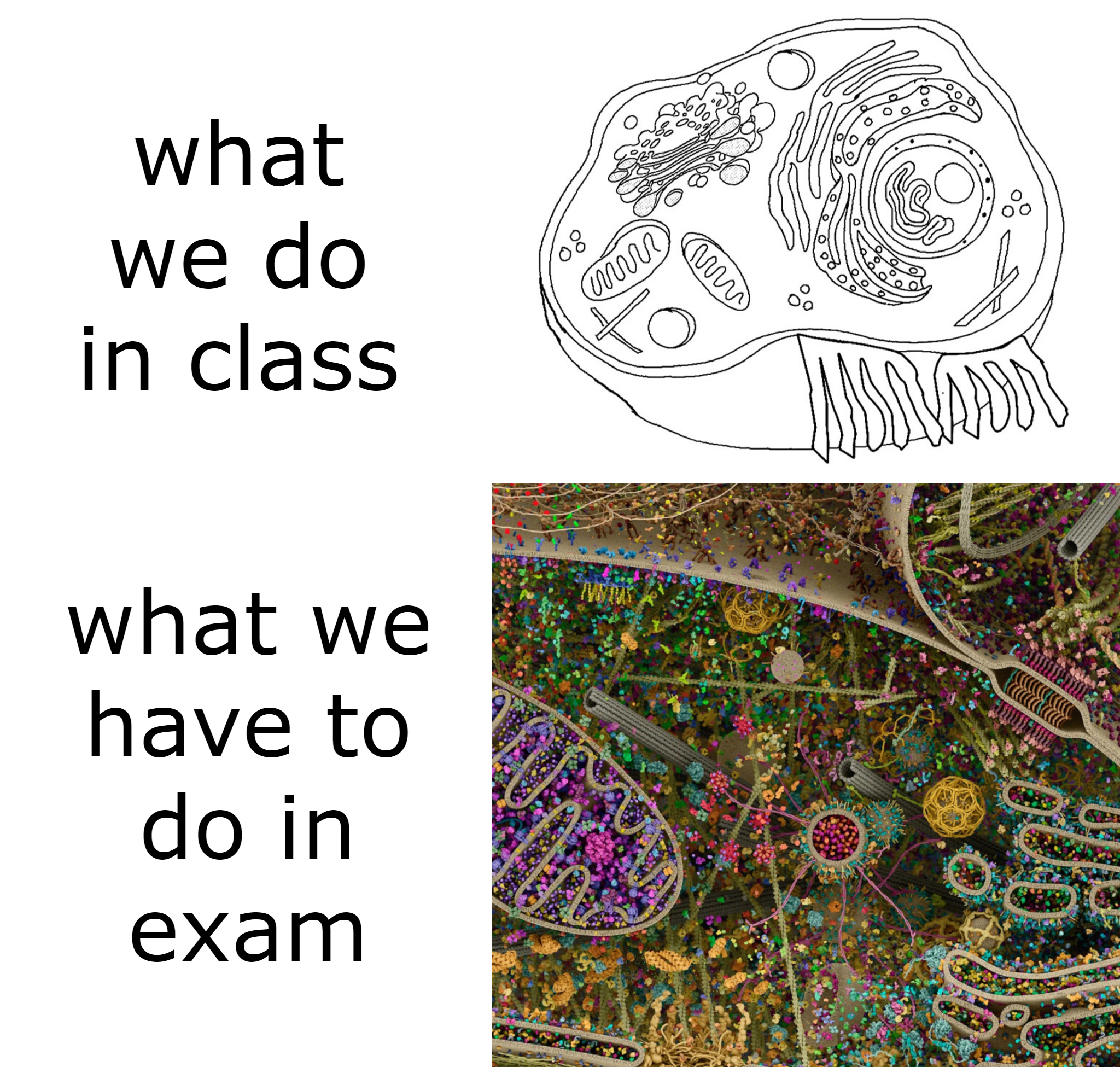 The Academic Cell Betrayal