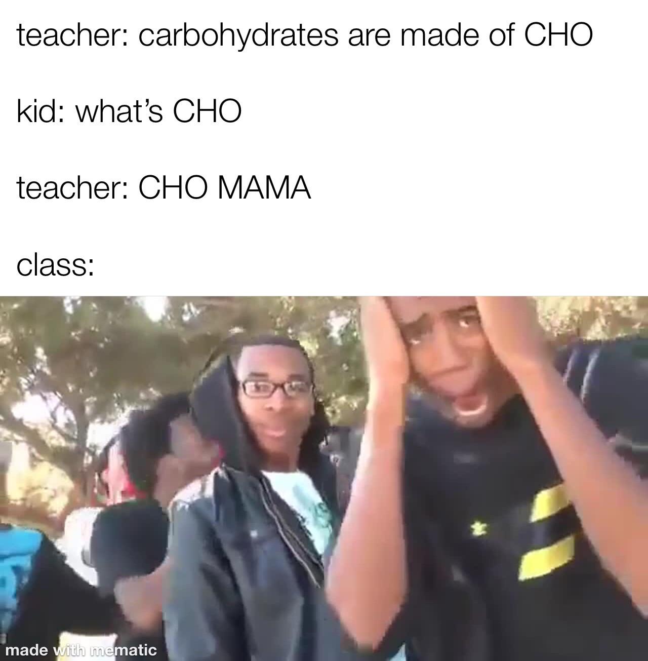 What I Learned In Bio Today