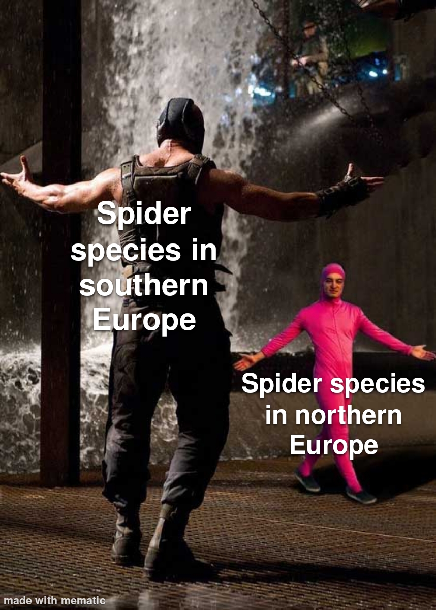 What Climate Does To A Spider