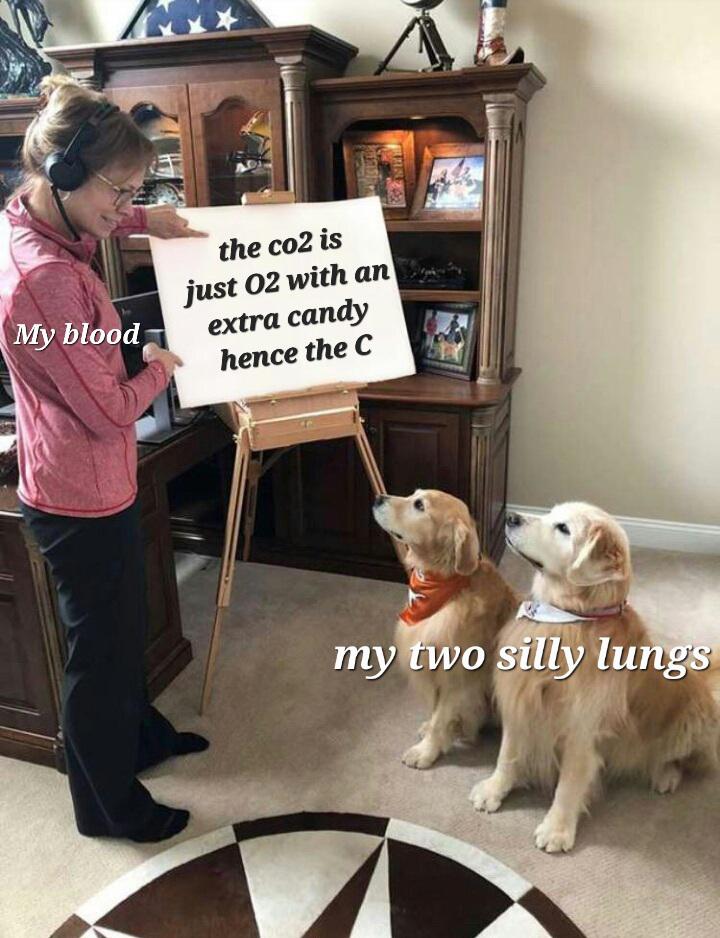 When My Blood Cells Try To Convince My Lungs To Give It Oxygen