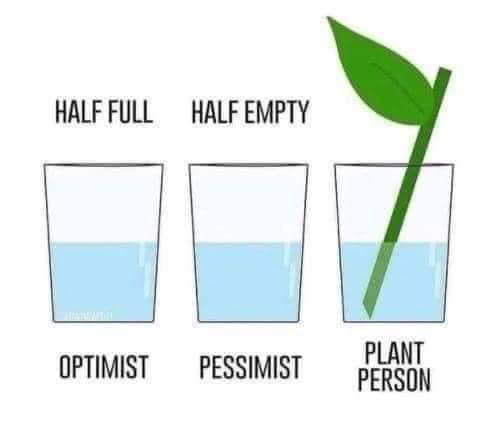 Plant Parents See Opportunity Everywhere
