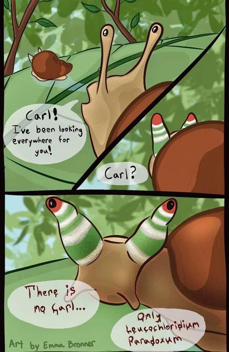 The Great Gastropod Deception
