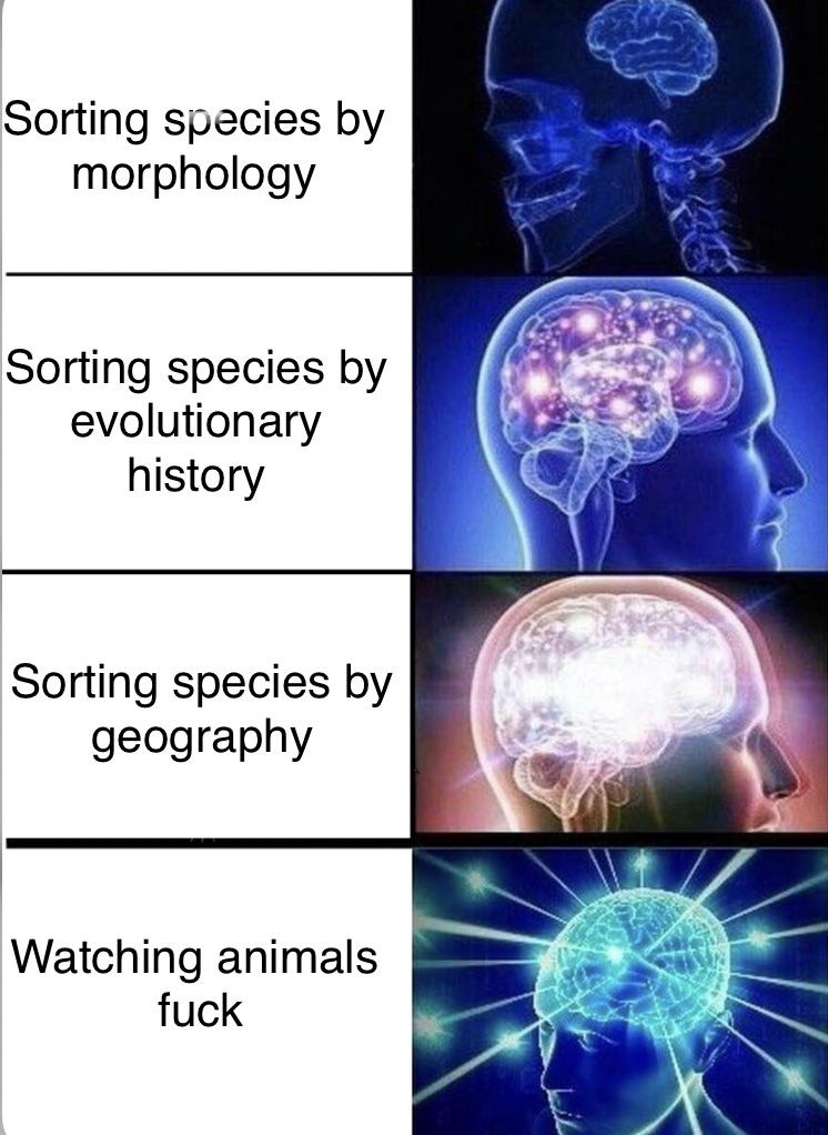 The Evolutionary Biologist's True Research Priorities