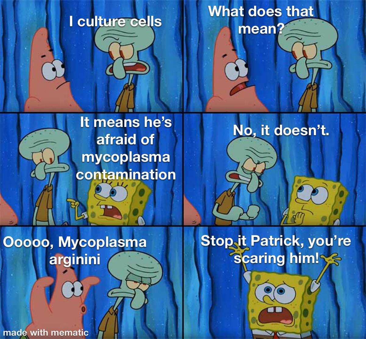The Mycoplasma Menace: Every Cell Biologist's Nightmare