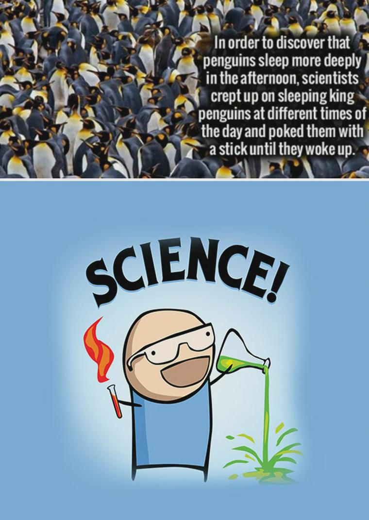 The Glamorous Reality Of Scientific Research