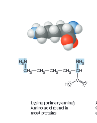 When Molecular Models Get Awkward