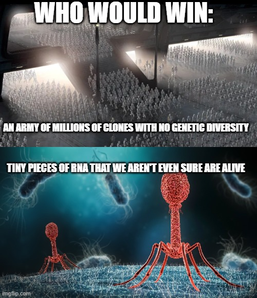 We Have Sex For A Reason