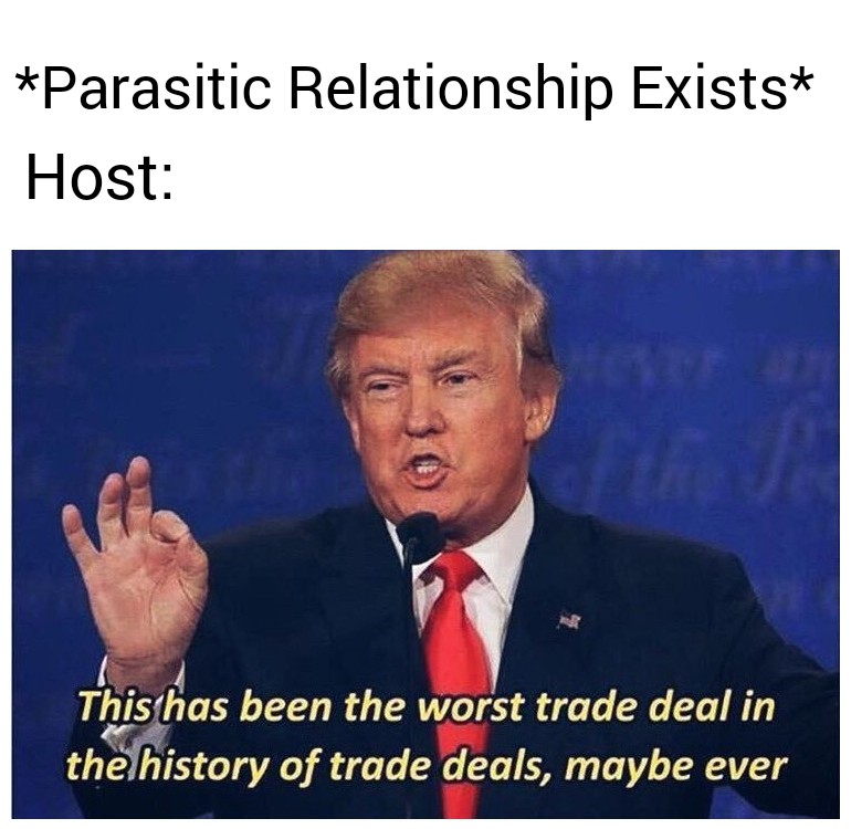 Surely Maybe The Worst Deal In Nature