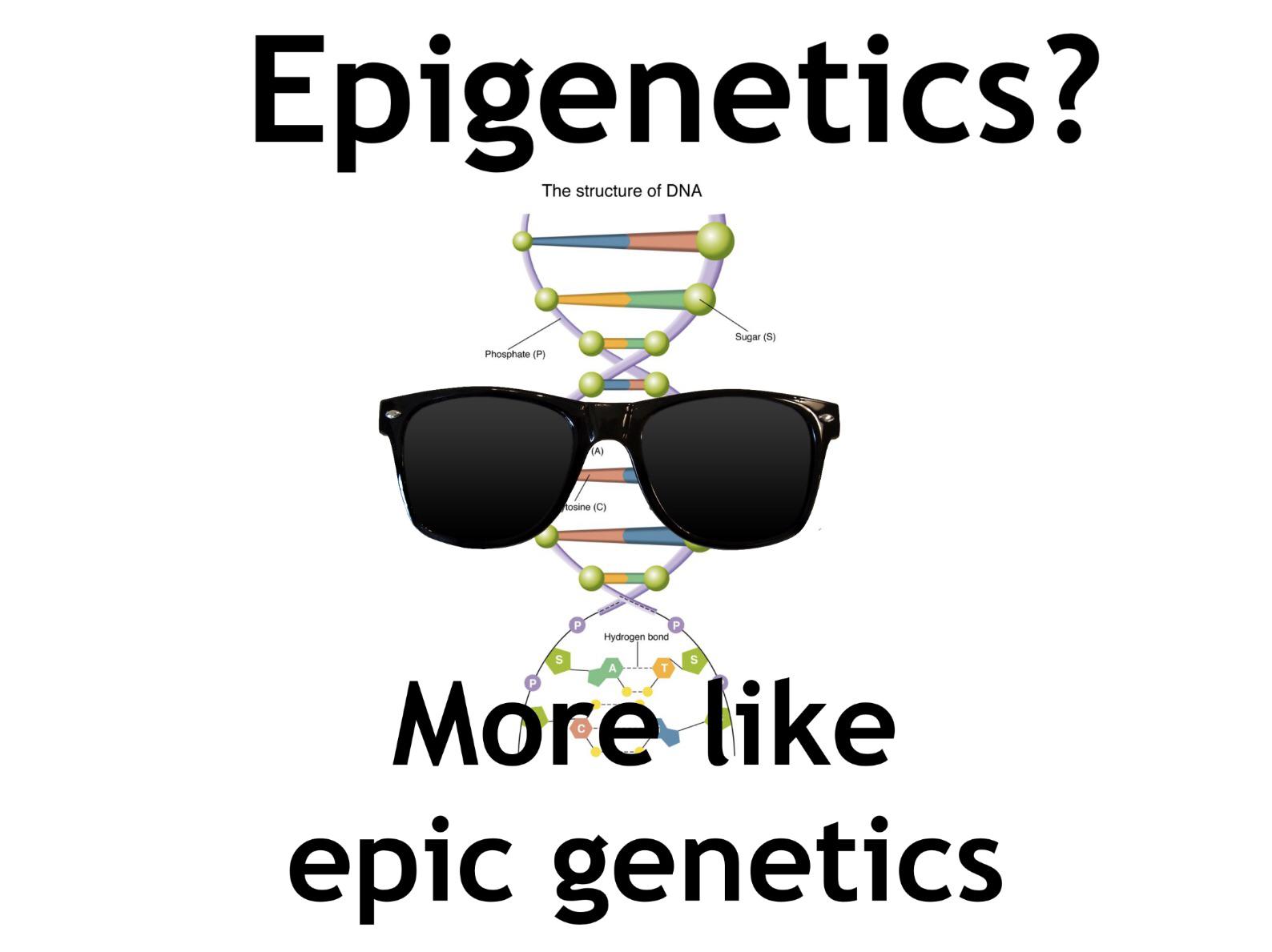 DNA With Attitude: Epic Genetics