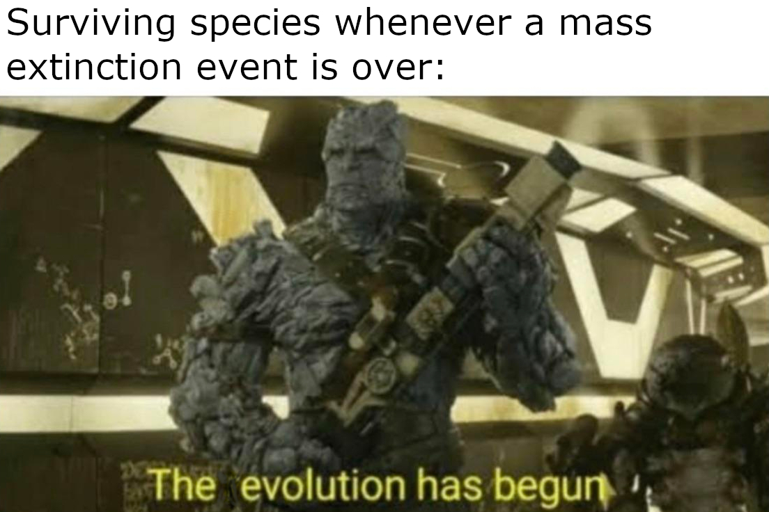 The Evolution Has Begun