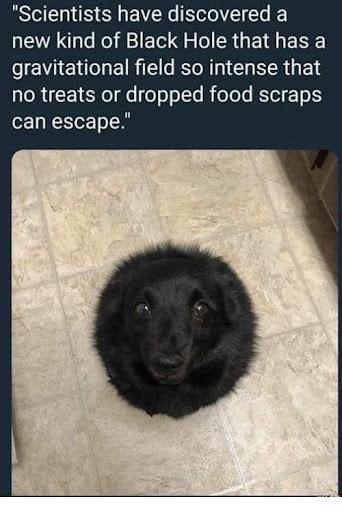 The Only Black Hole That Gets Stronger When You Open The Fridge