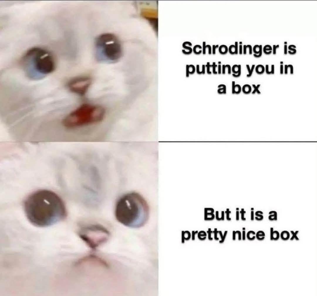 Quantum Cat's Existential Crisis