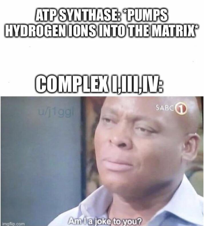Mitochondrial Workplace Drama