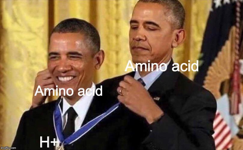 Zwitterion Diplomacy
