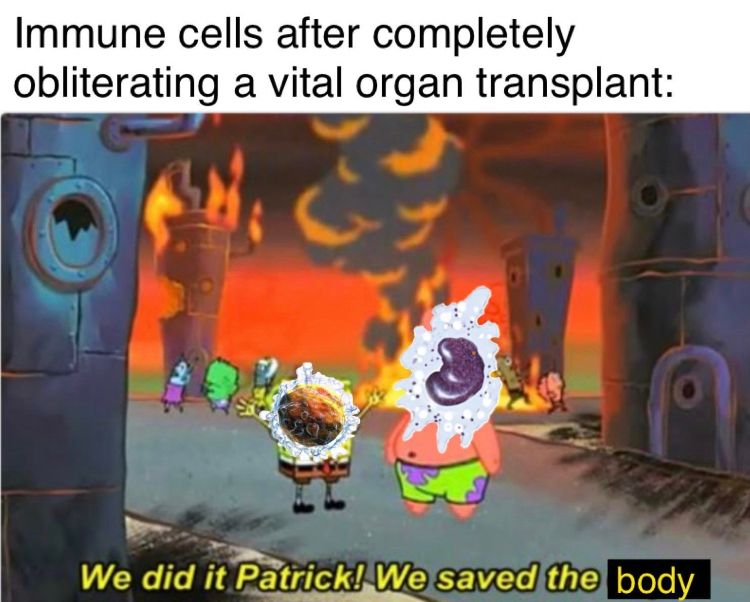 Immune System Go Brrrrr