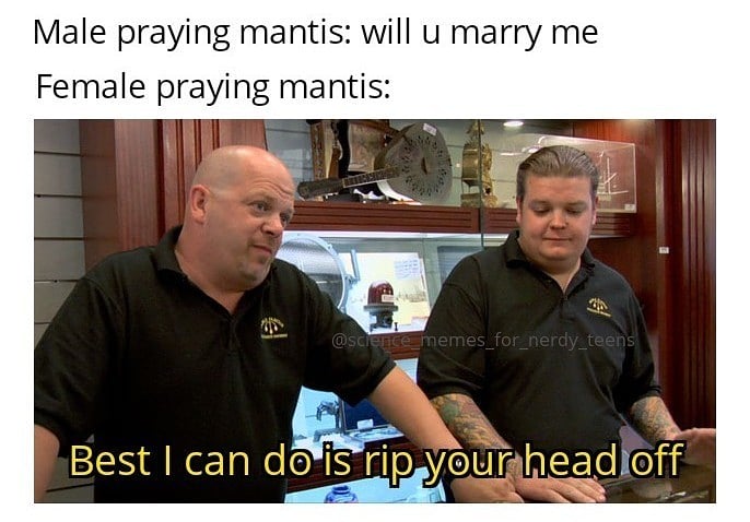 A Bargain For Your Head