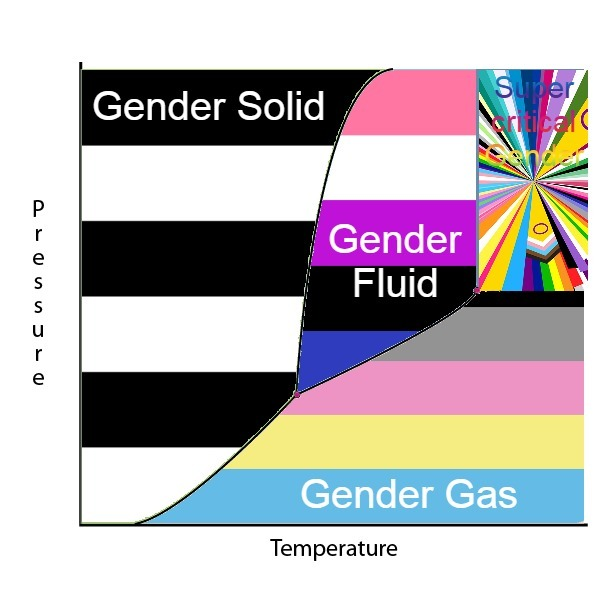 The Thermodynamics Of Gender States