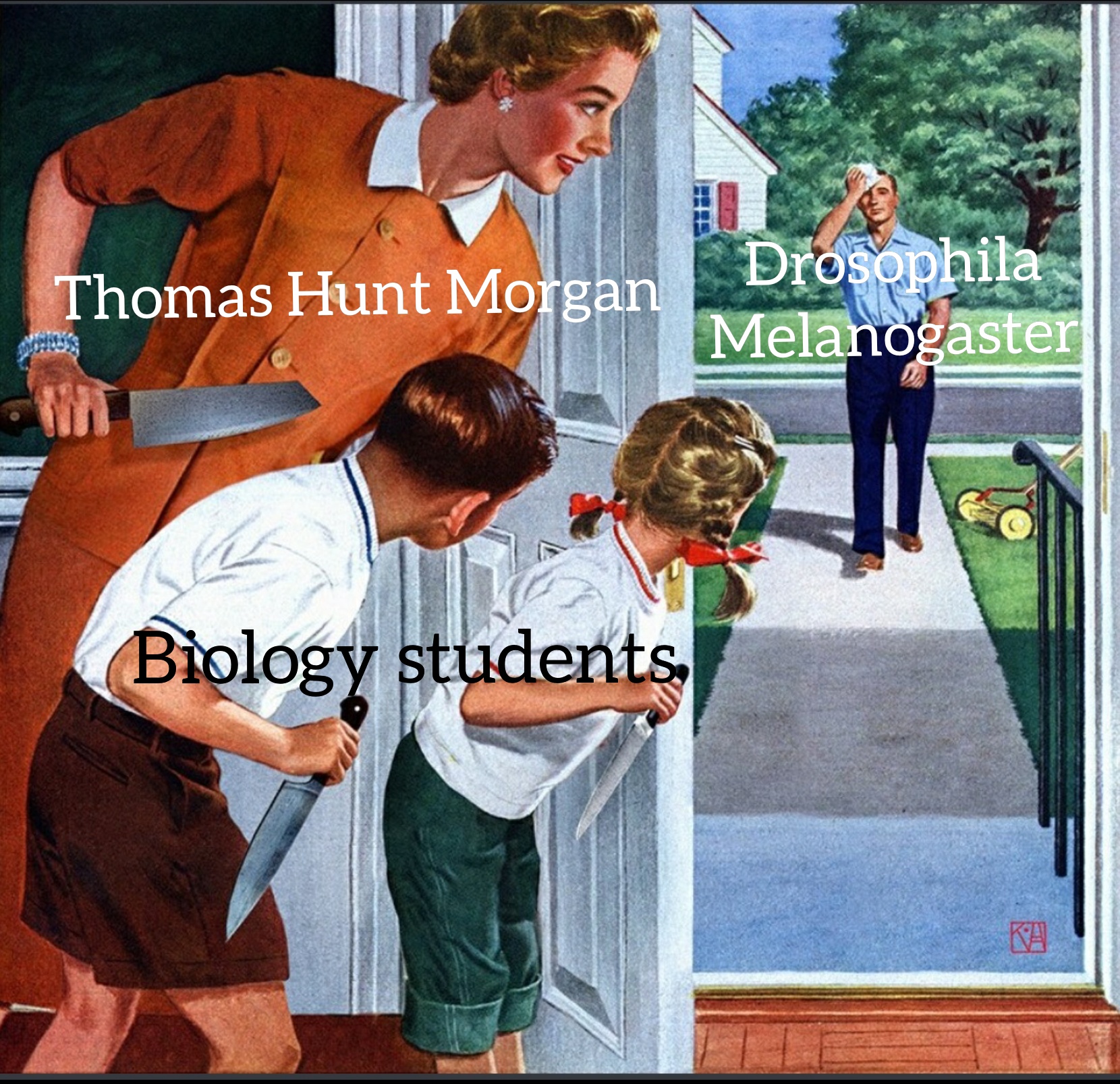 The Fruit Fly Love Triangle