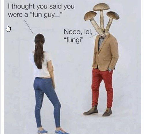 Fun Guys Hanging Out With Fungi!