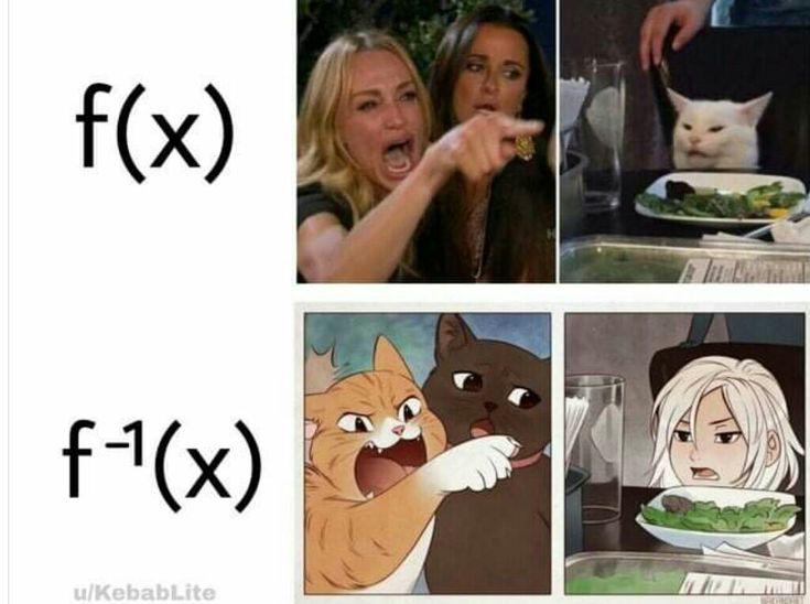 F⁻¹(X) Inverse Function Cat