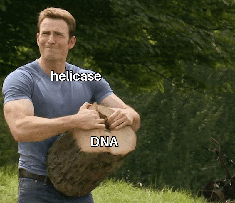 The Ultimate Molecular Homewrecker