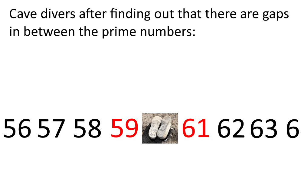 The Prime Gap Expedition