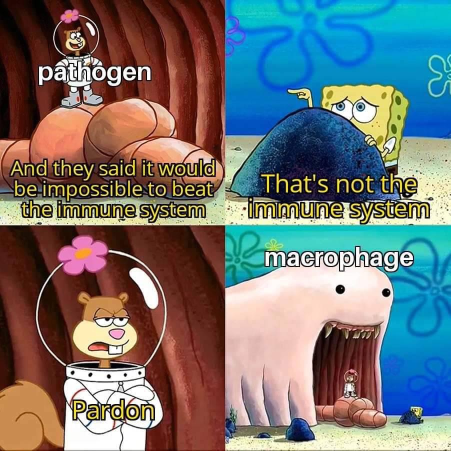 When Pathogens Meet Their Macrophage Match