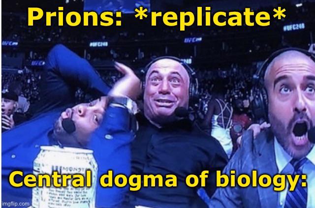 Prions: Breaking Biology's Rules Since Forever