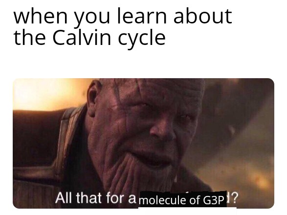 All That Biochemical Effort For One Tiny Molecule