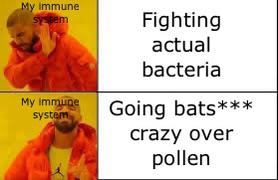 My Immune System During Spring