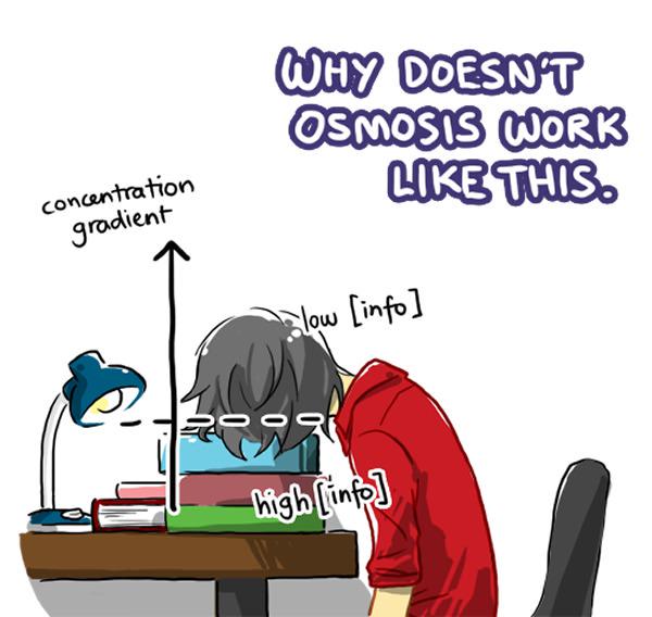 Why Doesn't Osmosis Work Like This