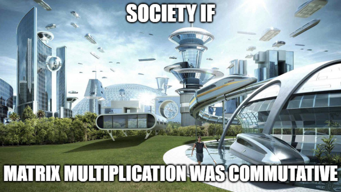 Society If Matrix Multiplication Was Commutative