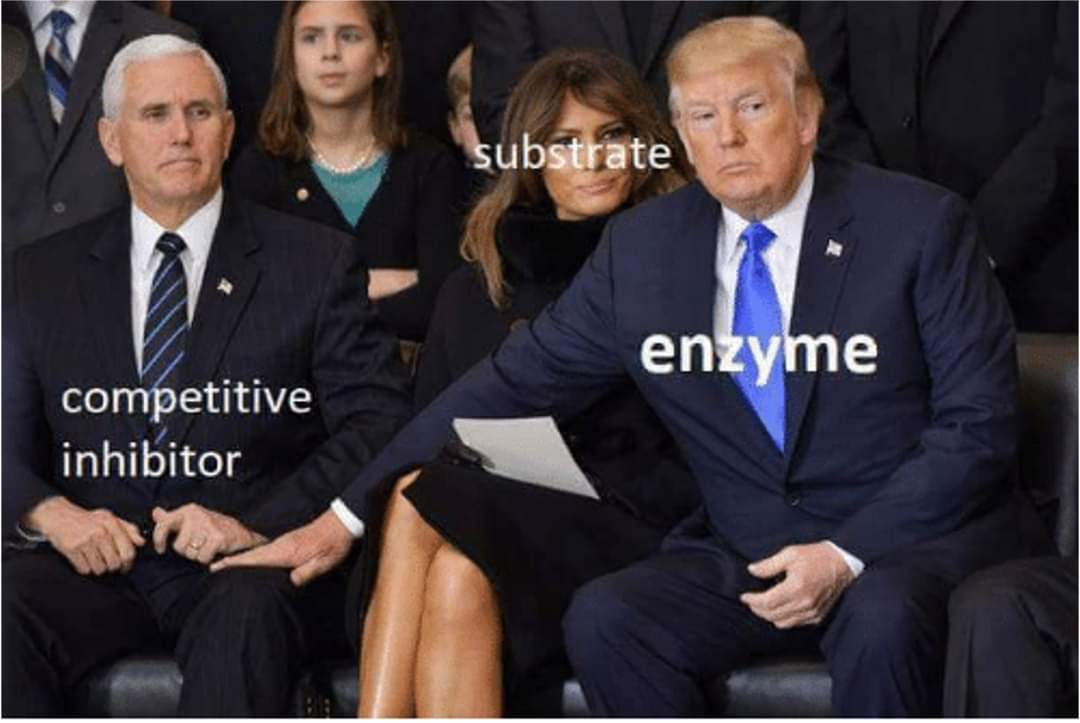 The Competition Is Strong Here, But We Clearly Know Who's Getting To See That Active Site Tonight