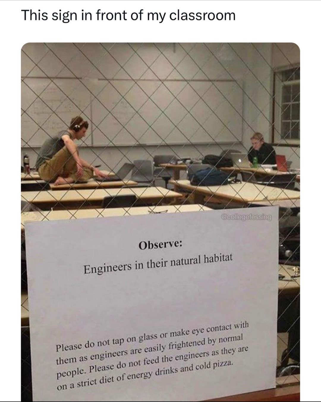 Engineers In Their Natural Habitat