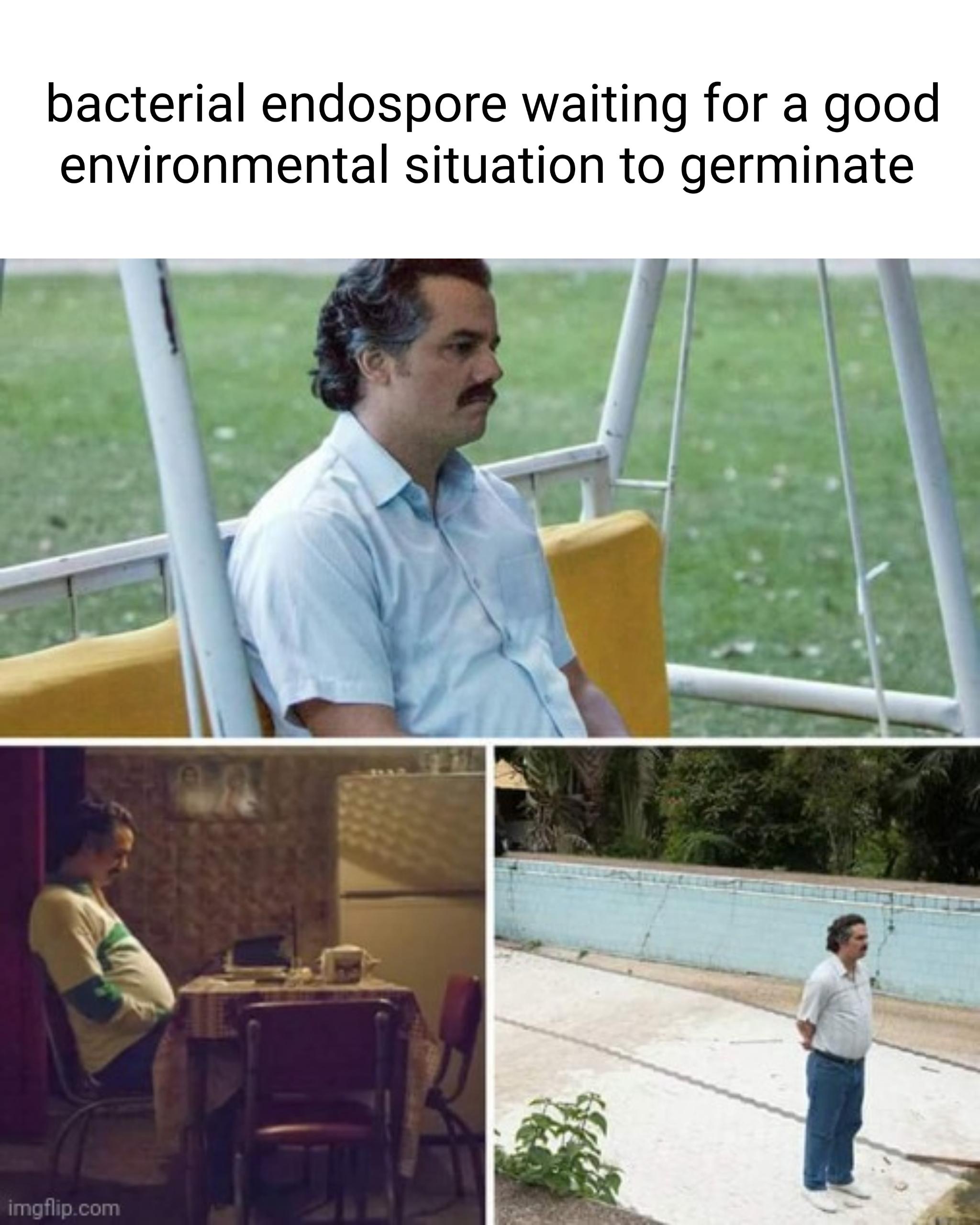 Radiation? Let's Wait A 100 More Years