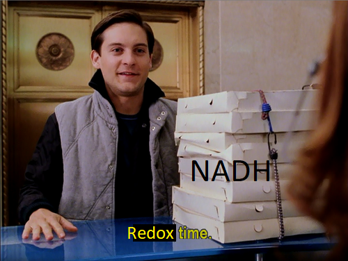 Mitochondria's Favorite Delivery Service