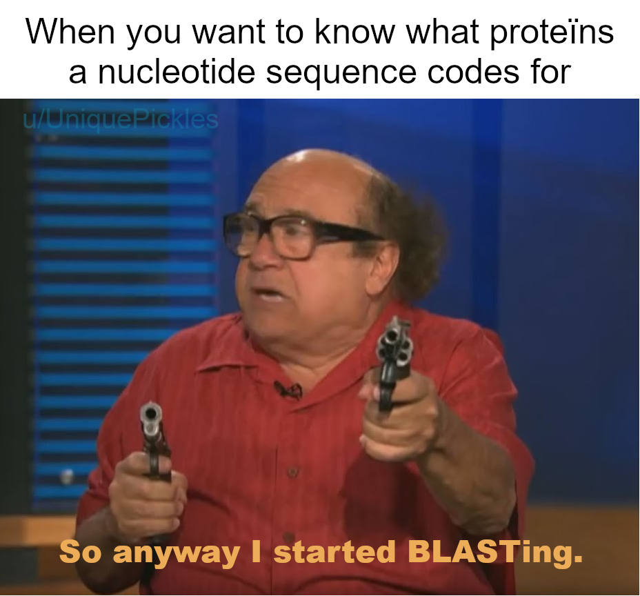 Blasting Nucleotide Sequences