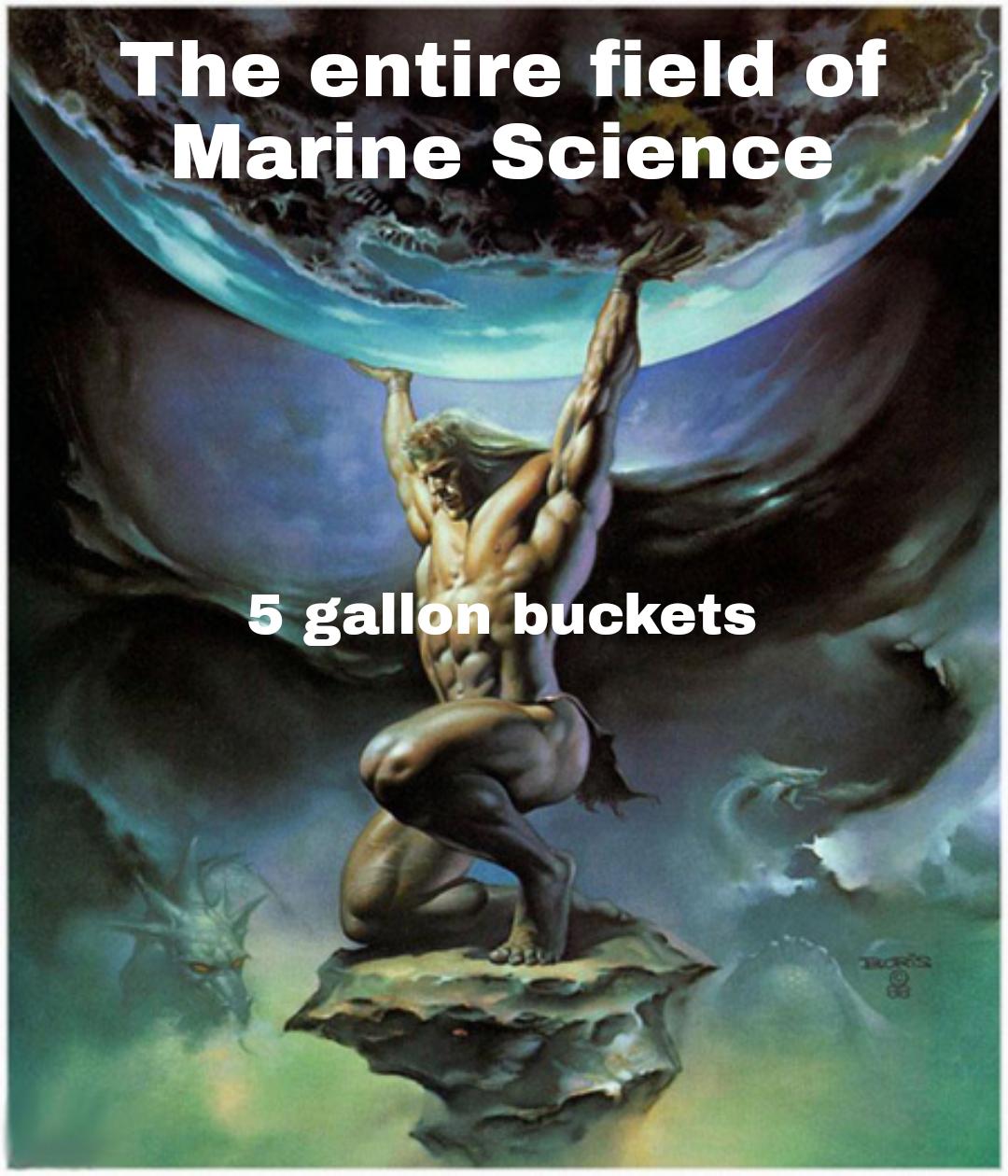 5 Gallon Buckets: The Foundation Of Marine Science