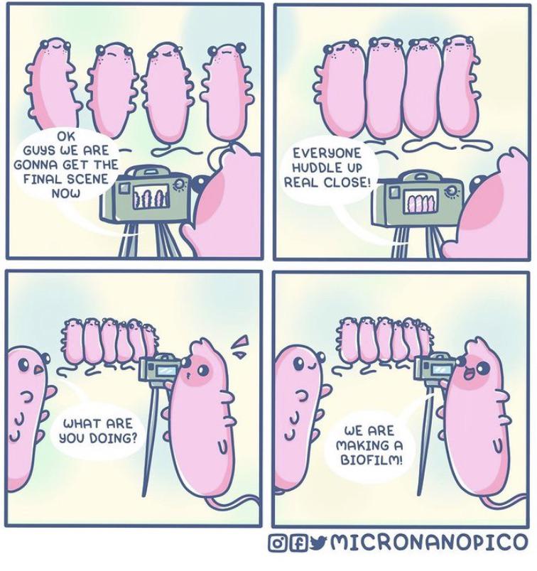 Good Friends Stick Together!