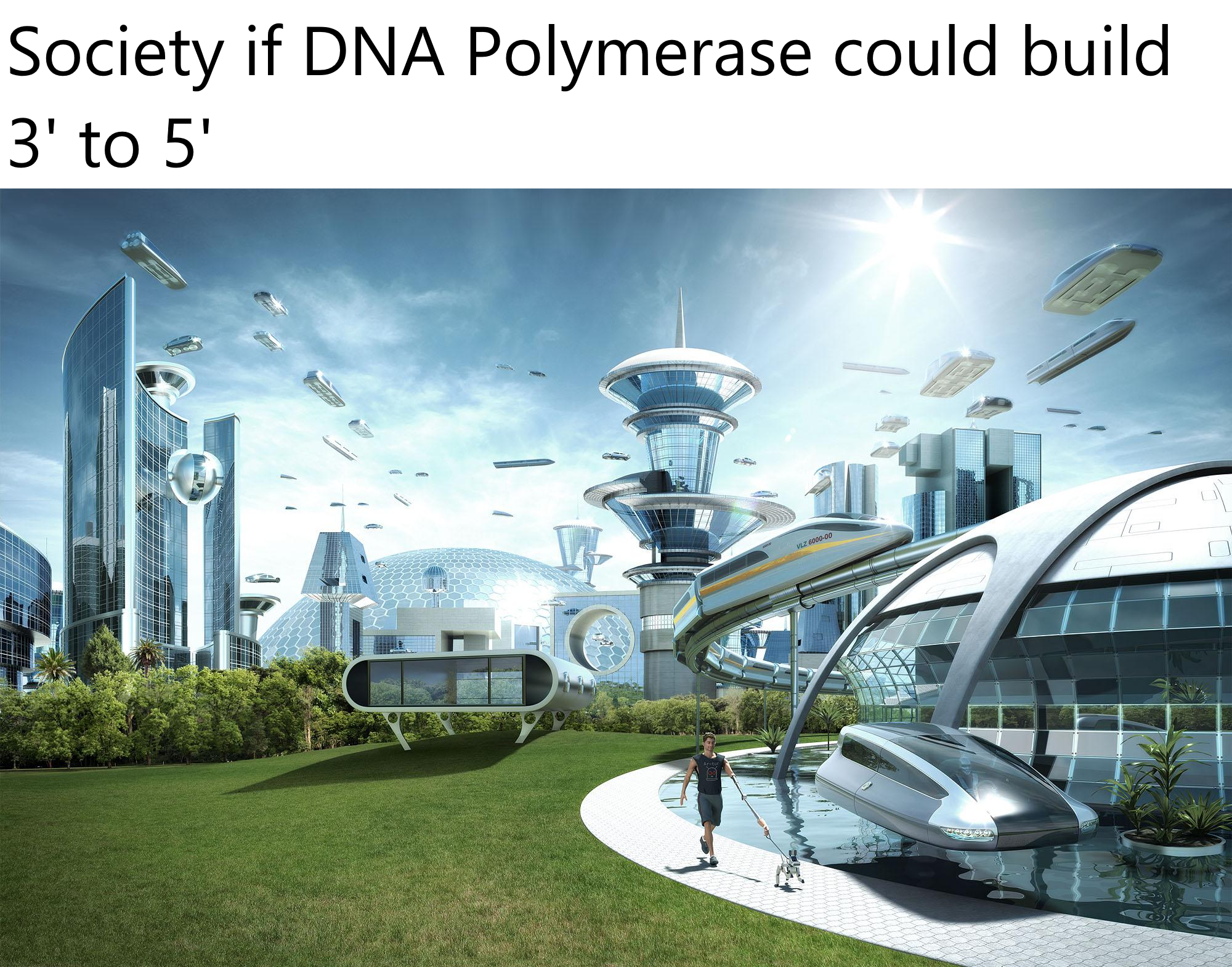 If DNA Polymerase Could Build 3' To 5'