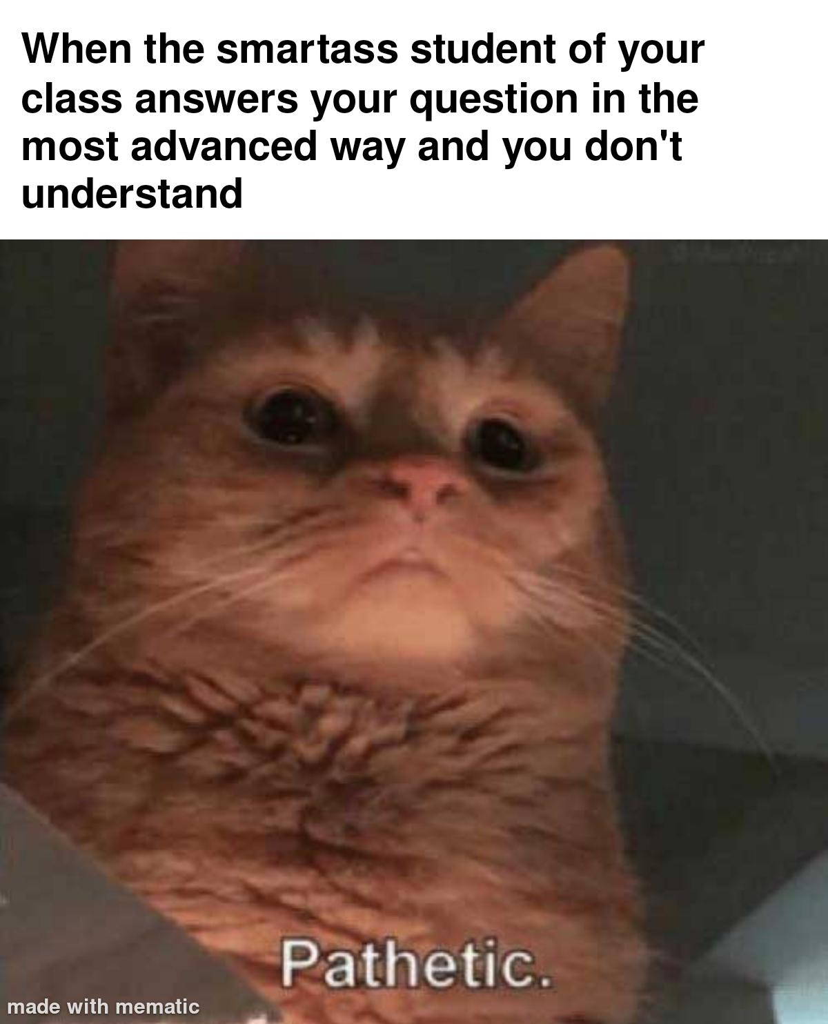I Feel Dumb