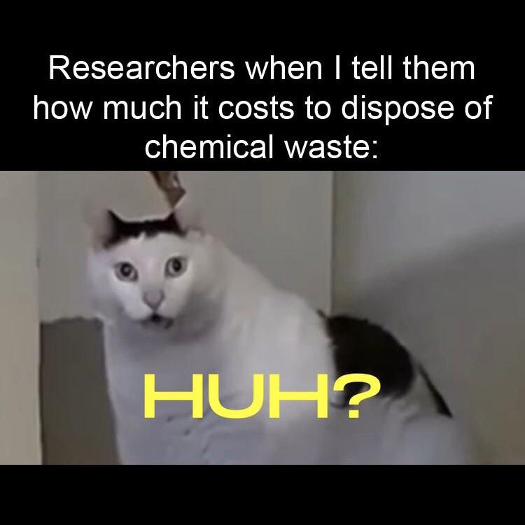 Did You Think It Was Free?