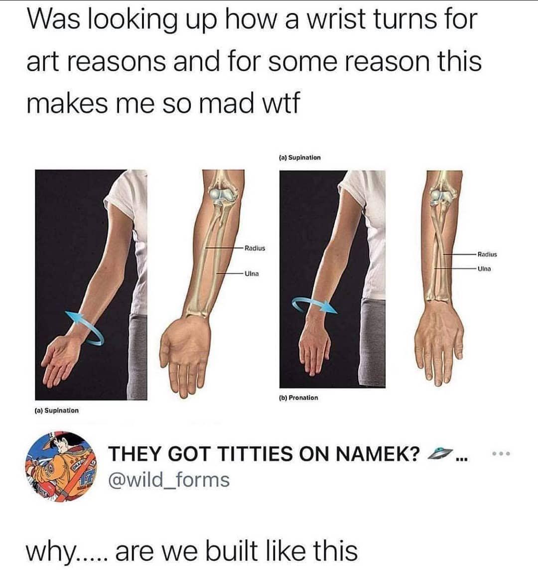 The Twisted Tale Of Human Wrists