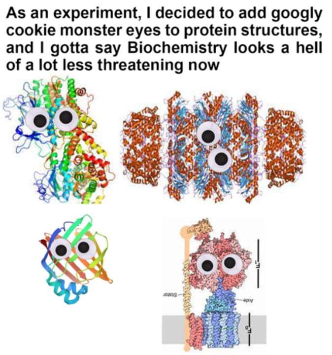Googly Eyes: The Unsung Heroes Of Protein Structural Biology