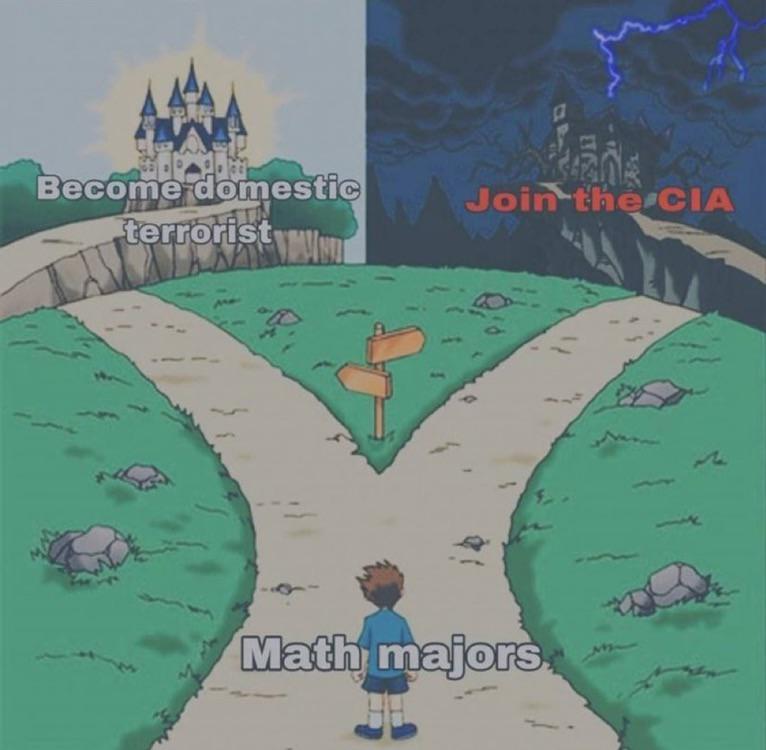 The Two Career Paths Of Math Majors