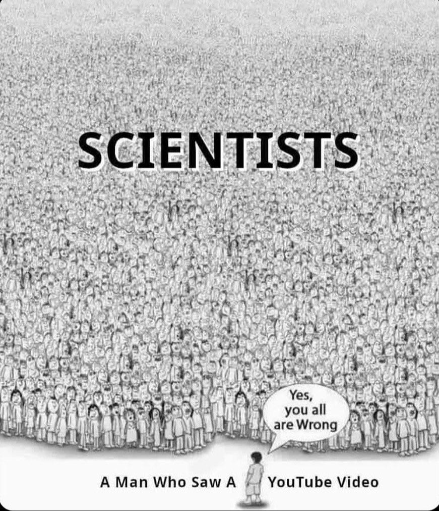 The YouTube Expert Versus Actual Scientists